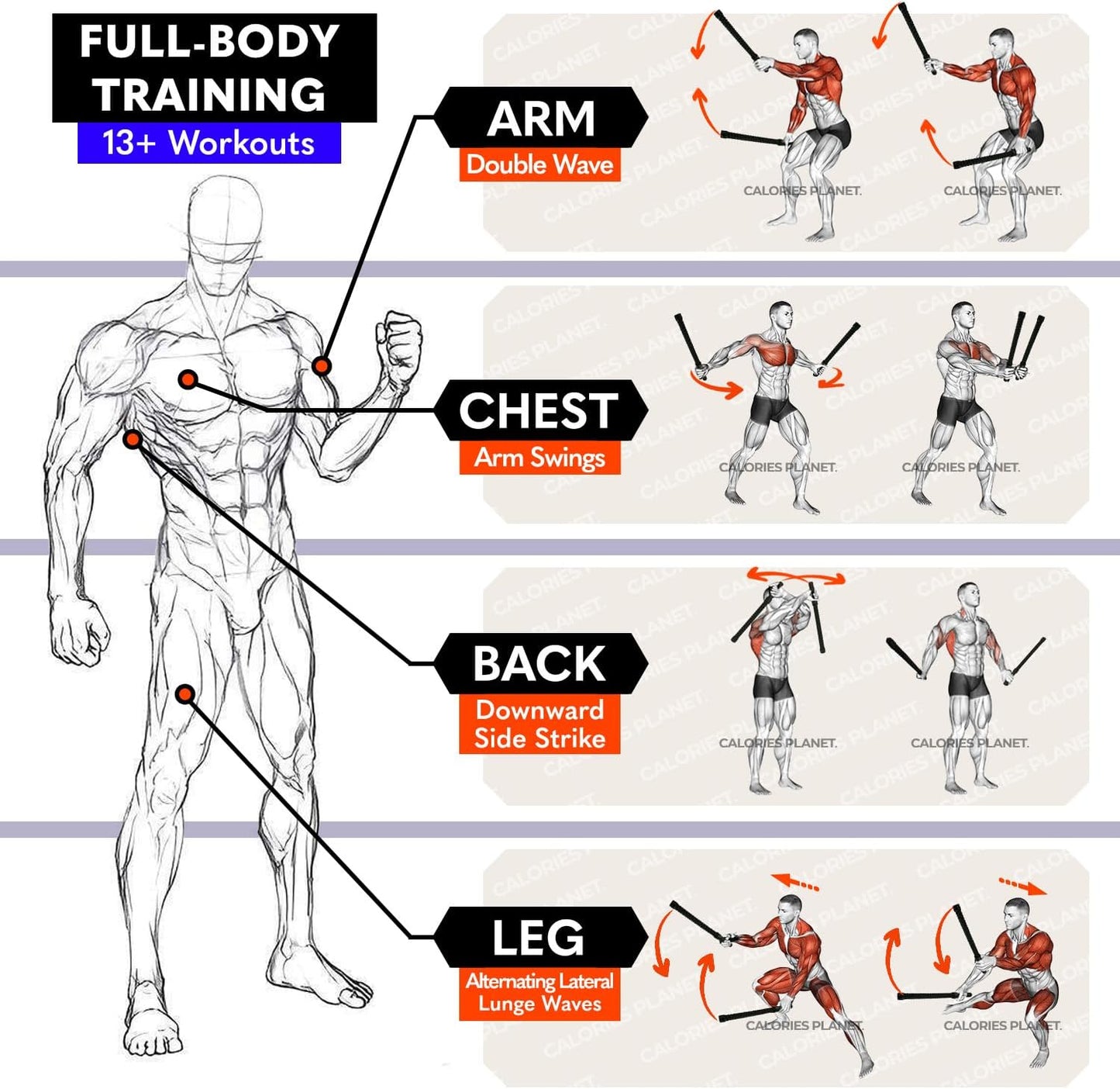 Cordless Battle Ropes